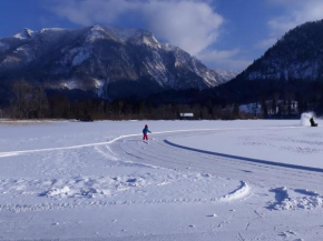 Apartmenthaus AMELIE Lunz Am See